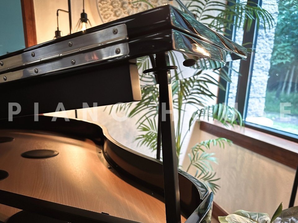 ROLAND GP-9 PE (USED) - Ảnh thực tế 3